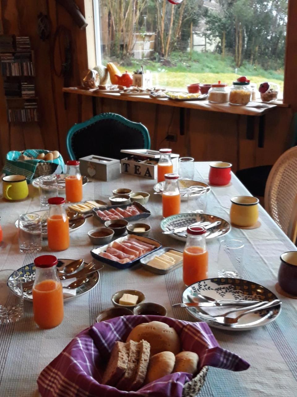 Lodge Huillin Chonchi